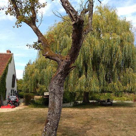 Domaine De La Richardelle Lägenhet Courtenay  Exteriör bild