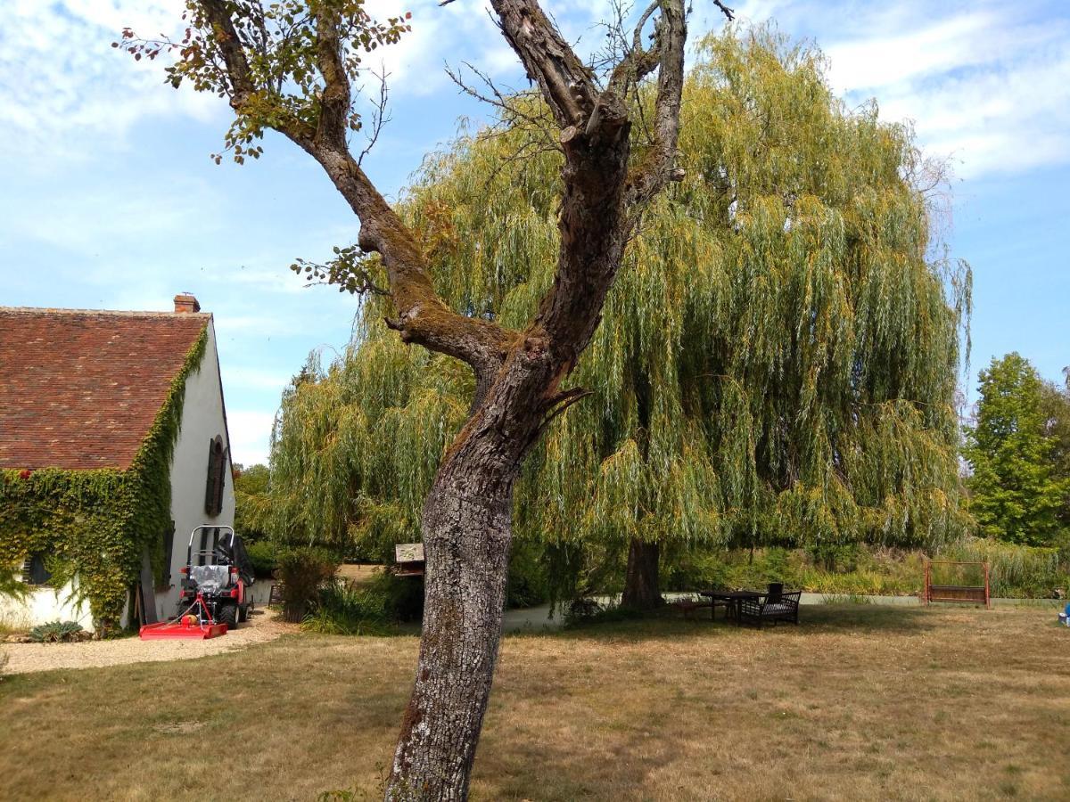 Domaine De La Richardelle Lägenhet Courtenay  Exteriör bild